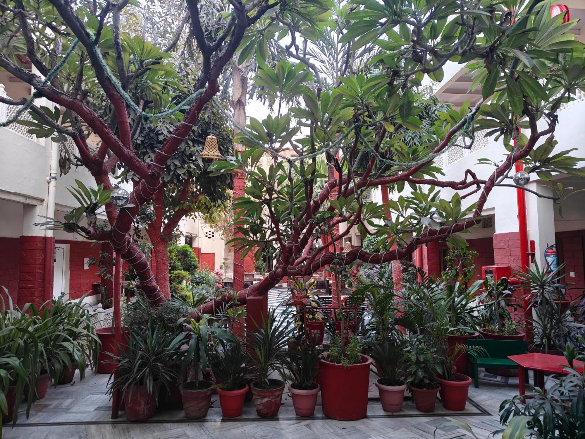 Hotel Tourist Rest House Agra Bagian luar foto
